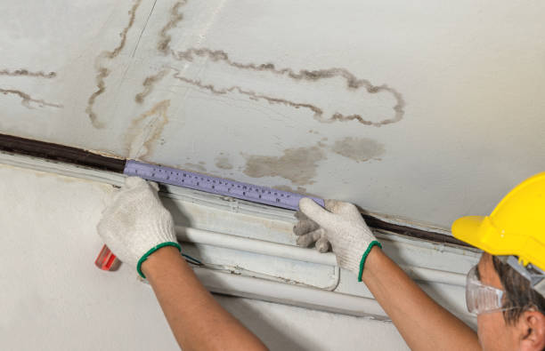 Reliable Burst Pipe Cleanup contractor in Chapel Hill, TN by Water Damage Irwin